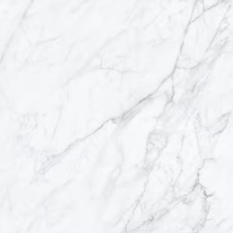 floor-tiles-carrara-white-matte-4-x-12.png