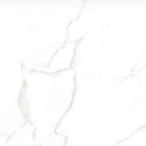 Floor Tiles Delicato Matte 24" x 24"