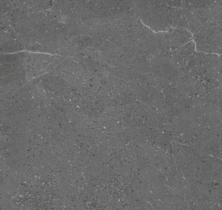 floor-tiles-monza-coal-matte-24-x-24.png