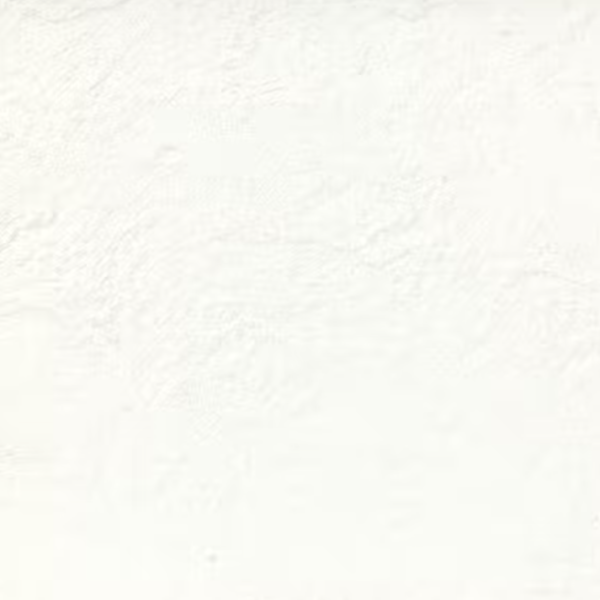 Floor Tiles Super Slate White Matte 12" x 24"