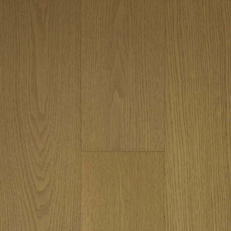 Lucid-Plank-Tranquil