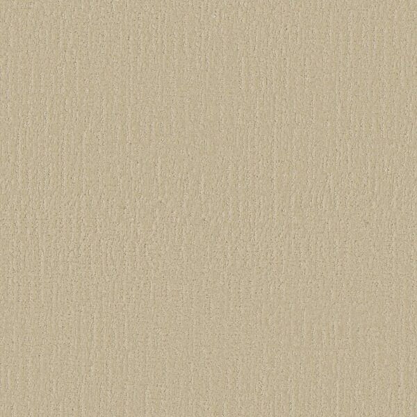 endless-memories-sun-kissed