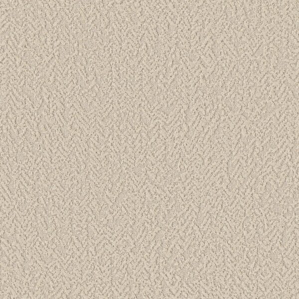 joyful-spirit-whiskers