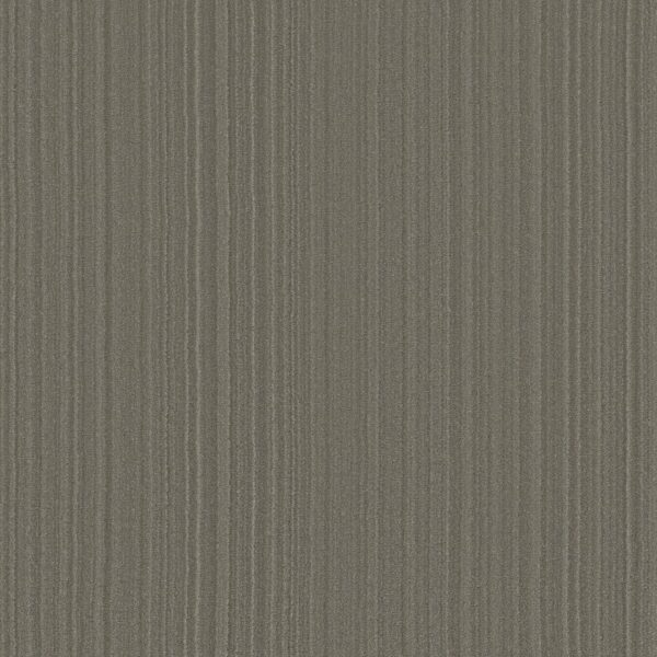 magnifique-cathedral