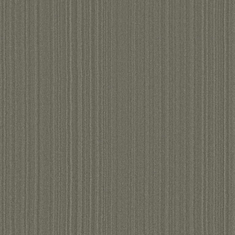 magnifique-cathedral