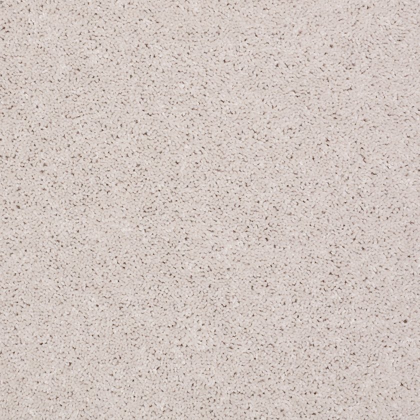 point-guard-12-halo point-guard-12-halo