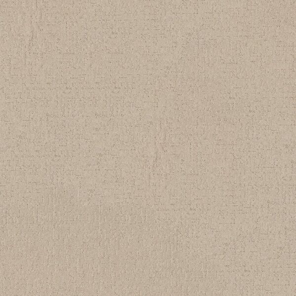 secret-destination-dune-view