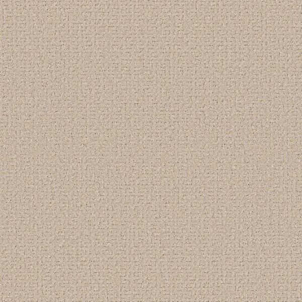 secret-journey-dune-view