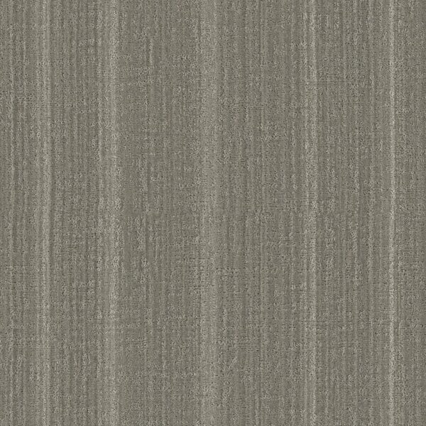 shady-stroll-stonehaven