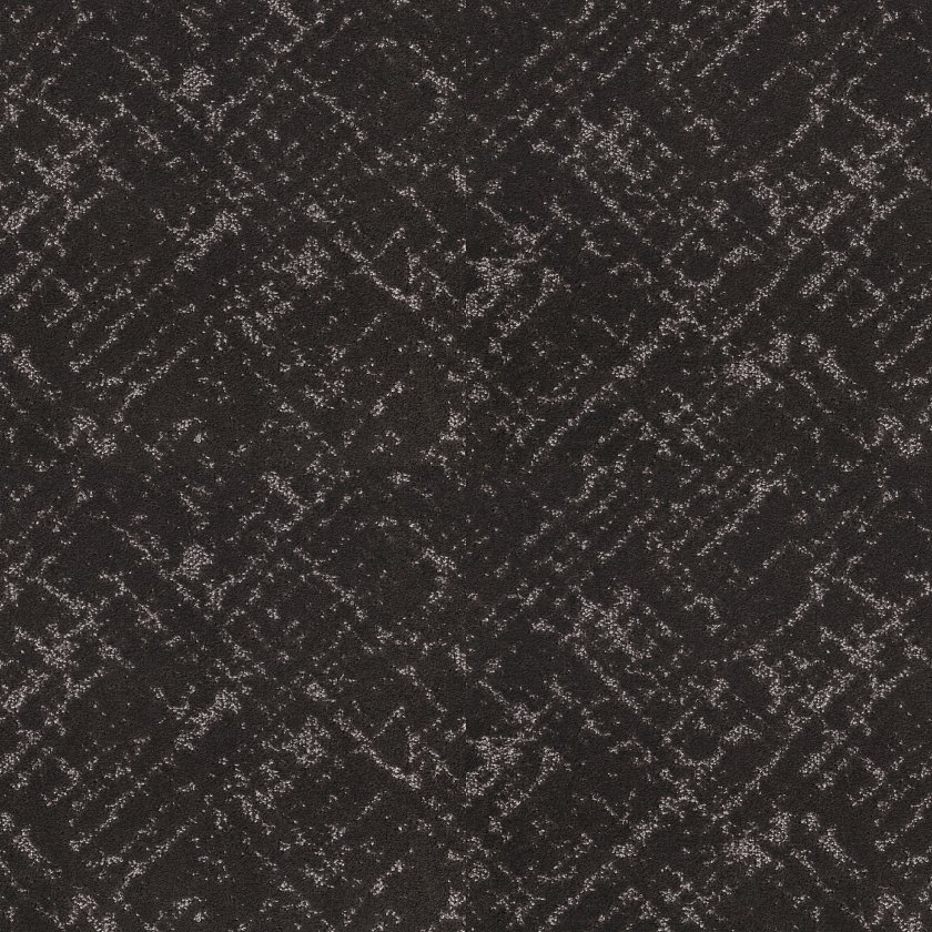 sincere-focus-bison sincere-focus-bison