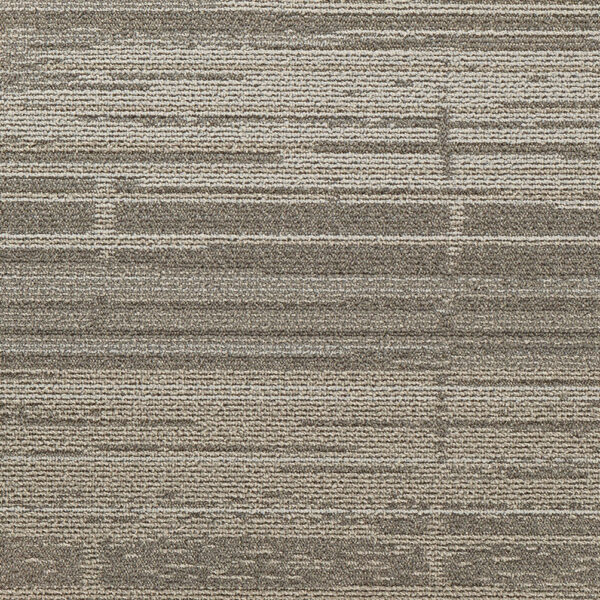 carpet-plank-context-silver-dollar-20-x-40