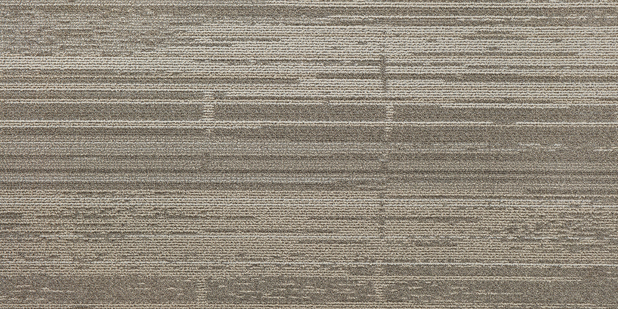 carpet-plank-context-silver-dollar-20-x-40 carpet-plank-context-silver-dollar-20-x-40