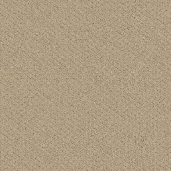 excel-dunes