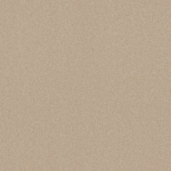 find-your-comfort-i-solid-sun-kissed-s