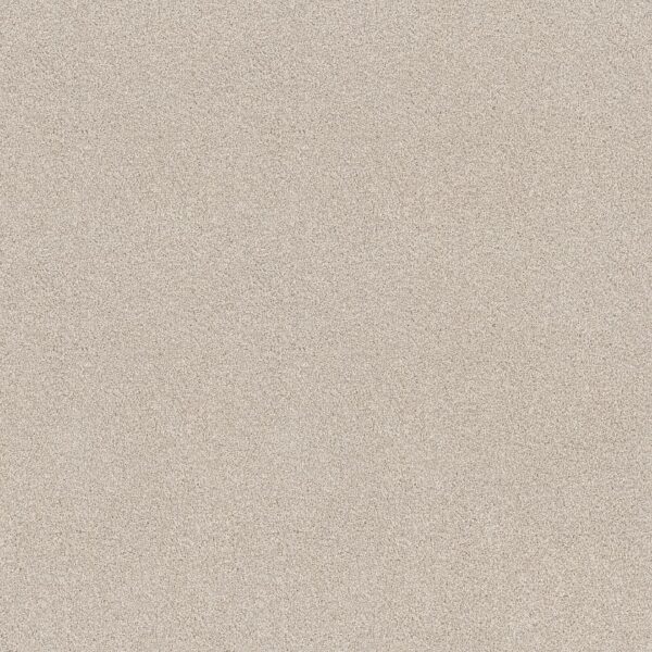 find-your-comfort-i-tonal-champagne-toast