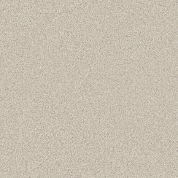 find-your-comfort-ii-tonal-champagne-toast