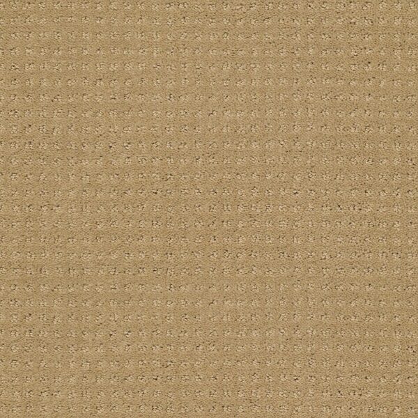 in-savannah-field-stone