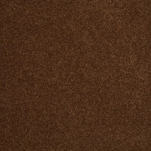 timeless-appeal-iii-12-tortoise-shell