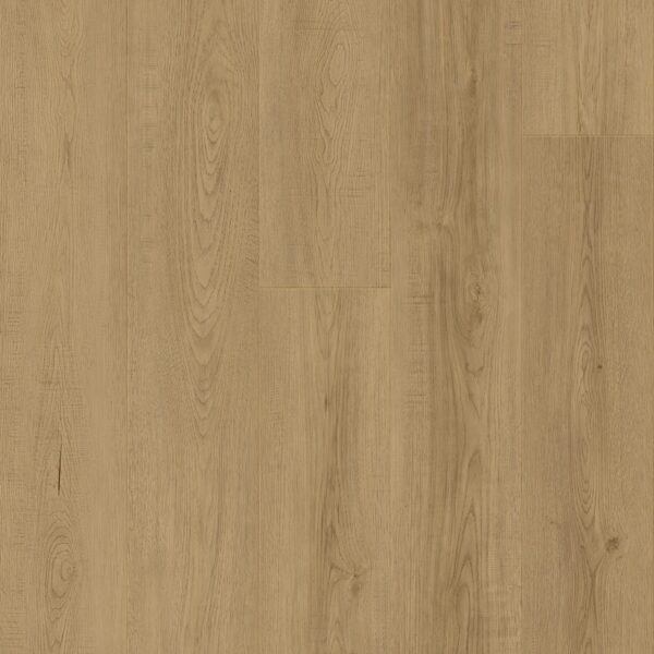 essential-collection-grounded-oak