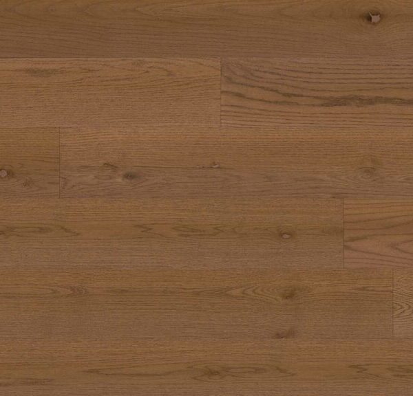 eurostyle-la-foret-amazon-001