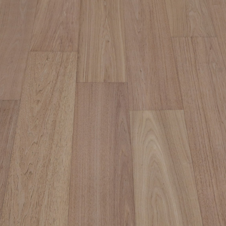 magna-hickory-volturno