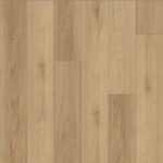 Sunlit Hickory