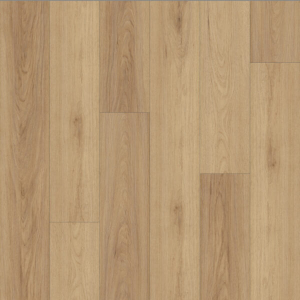 Sunlit Hickory