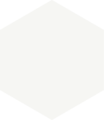 apini-series-white