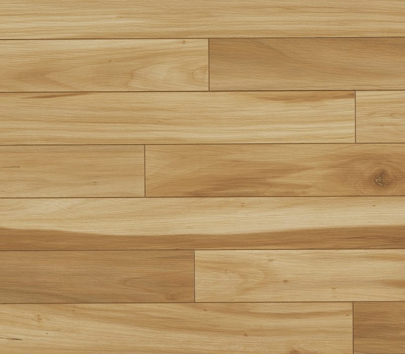 Image 2026-03-31 at 12.01 PM